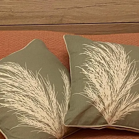 לינה וארוחת בוקר Assaje Guestroom אולביה